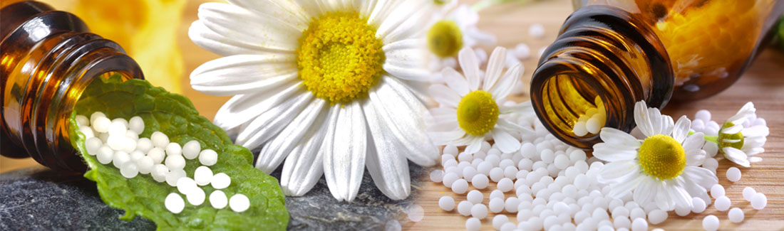Cell Salts with Daisies