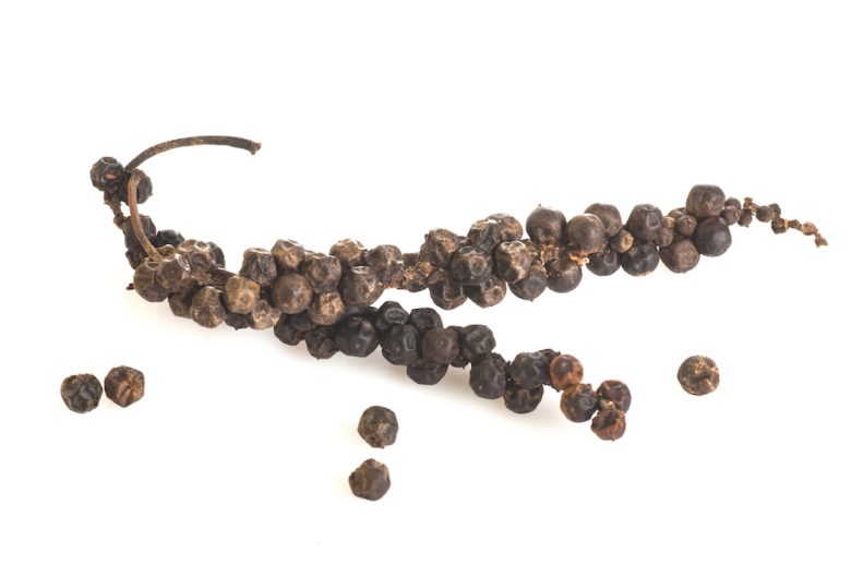 Piper Nigrum Black Pepper