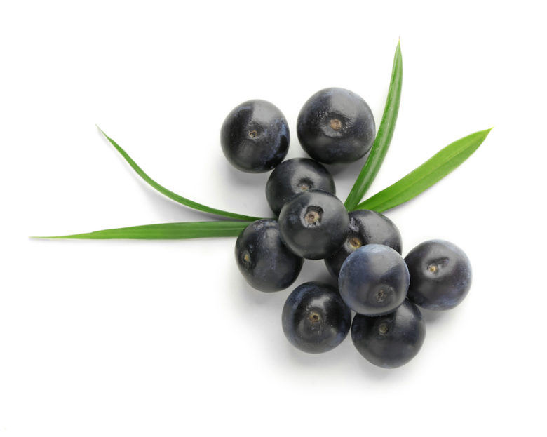 Acai Powder
