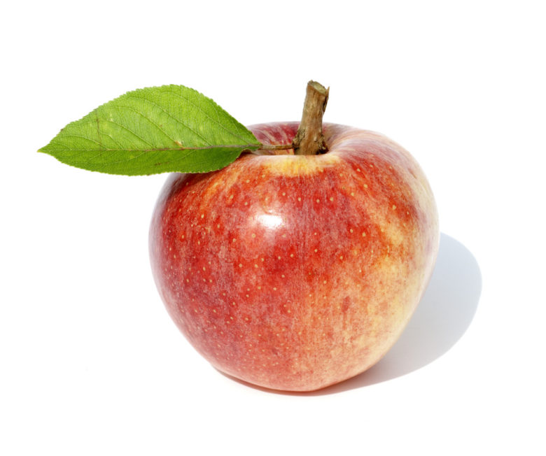 Apple Stem Cells Malus Domestica