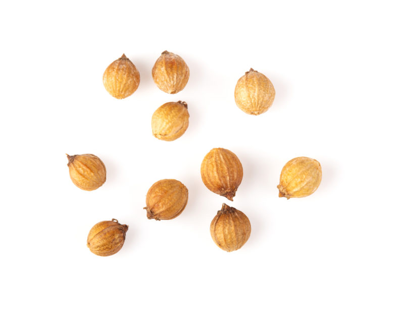 Coriander Seed Oil