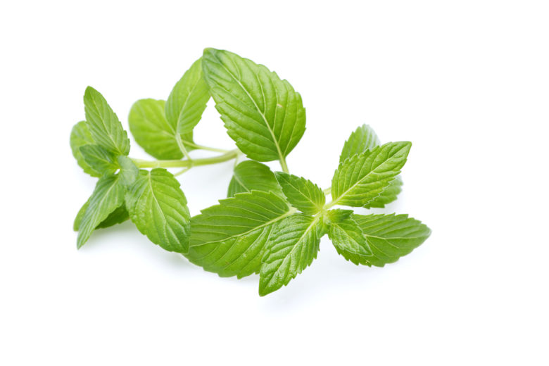 Peppermint Leaf Oil