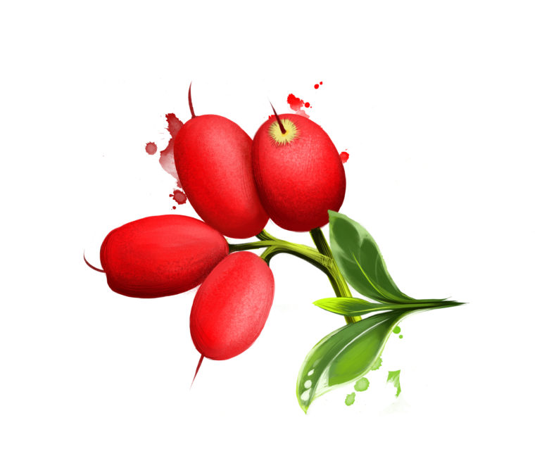 Riberry Syzygium Luehmannii