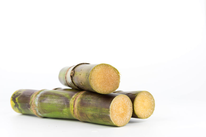Sugar Cane Extract