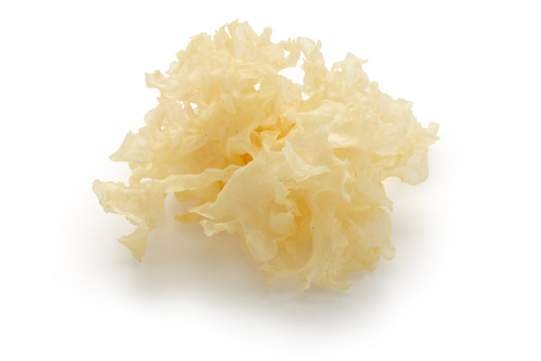 Tremella Fuciformis Sporocarp Snow Mushroom