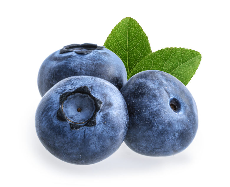 Vaccinium Corymbosum Blueberry Seed Oil