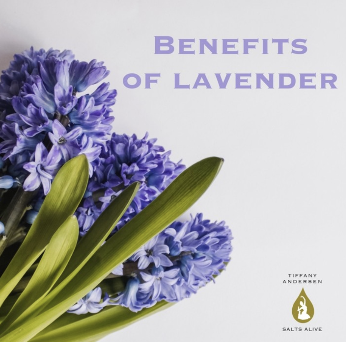 Lavender Essential Oil