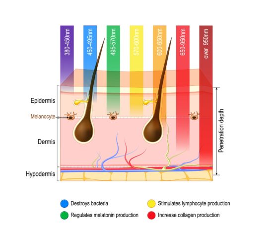 Phototherapy in Dermatology & Functional Medicine Course - Image 2